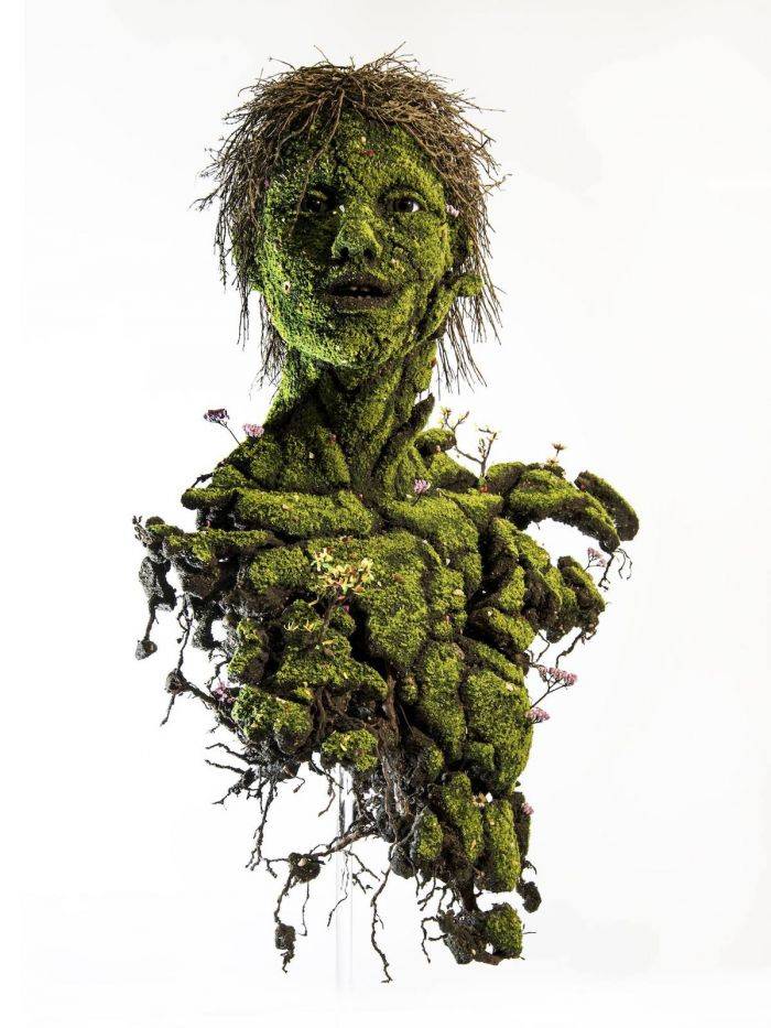 人类"湮灭"之后,谁是地球的霸主?_meric_作品_植物人