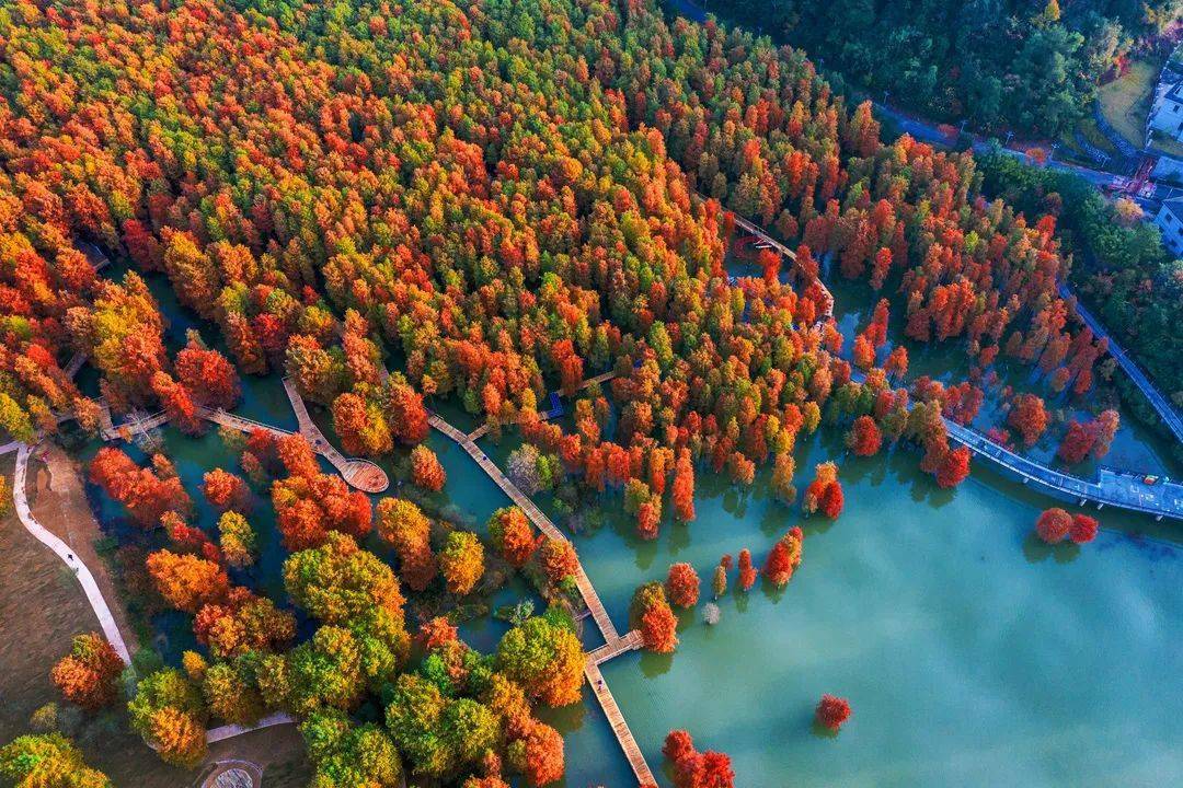 临安初冬的湖光山色,江畔美景皆可入画_阳光里_芦苇荡_那一片