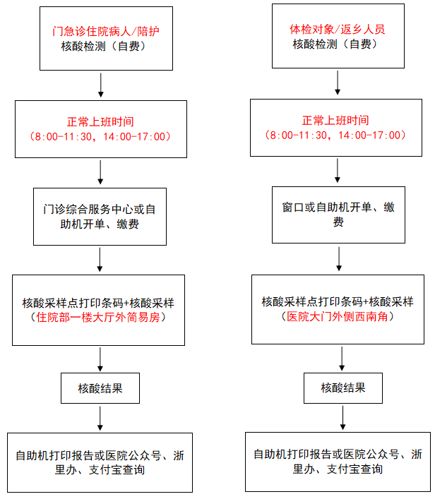 全员核酸检测流程图图片