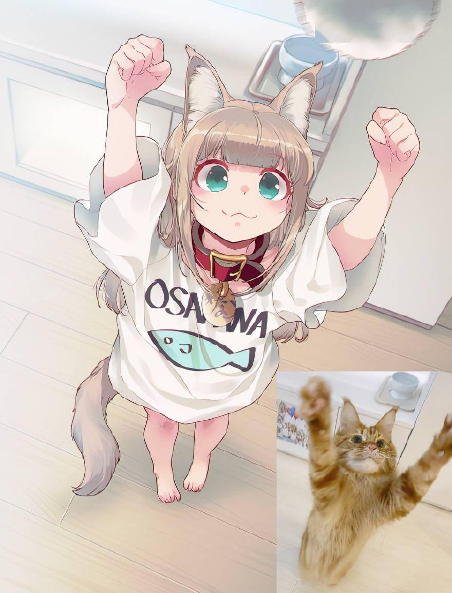 40原老师的猫咪拟人软萌小萝莉让人怜爱去哪领取同款猫娘