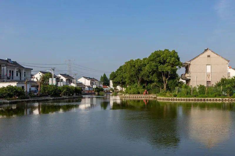 姚莊鎮沉香村西塘鎮茜墩村惠民街道惠通村羅星街道馬家橋村魏塘街道中