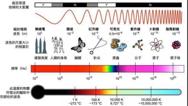 红薯|香蕉居然有辐射？专家：是真的，但……