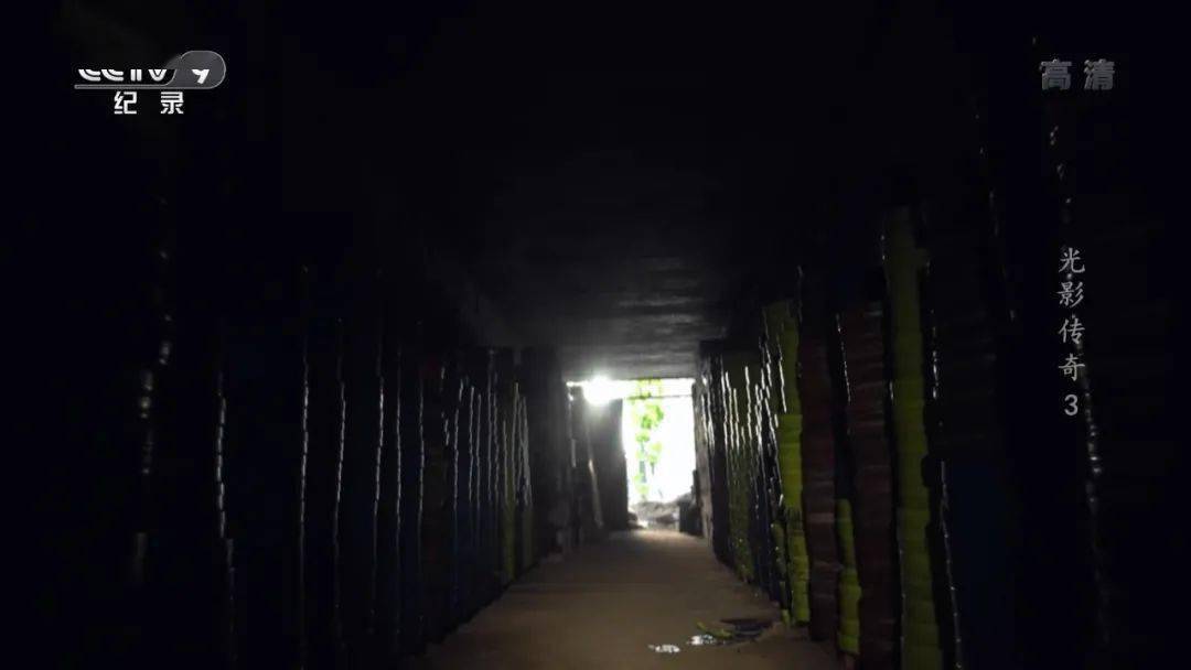 胶片|影迷必看！央视出手，果然是王炸…