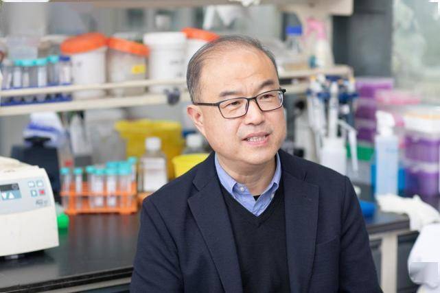 病毒|清华大学研发的中国首个抗新冠病毒特效药获批上市