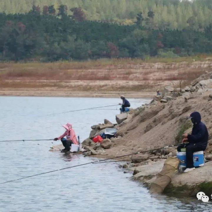 钓鱼找鱼道的技巧,找准了就是连杆爆护_钓友_水域_寻找