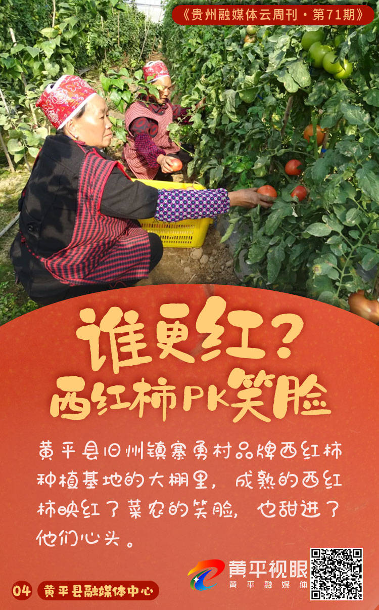 闵捷云周刊第71期｜黑的白的红的黄的紫的绿的蓝的灰的全在这里