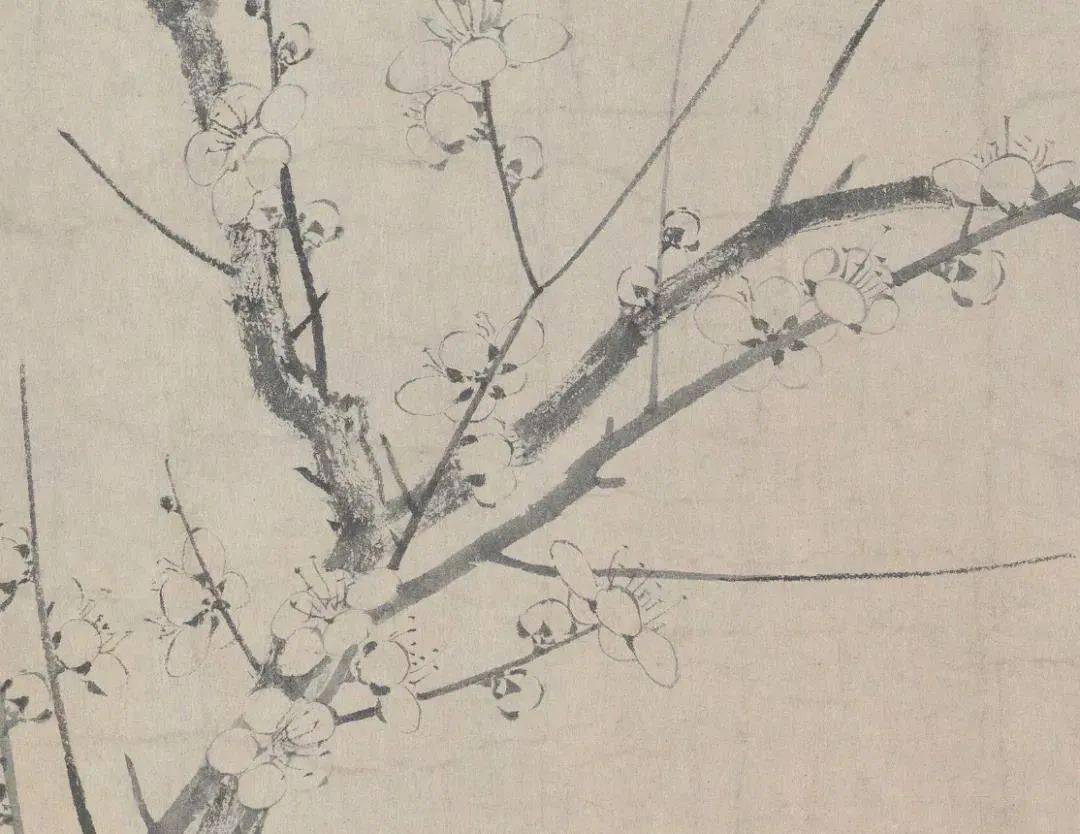 艺赏扬无咎笔下的墨梅图极尽朴素的美