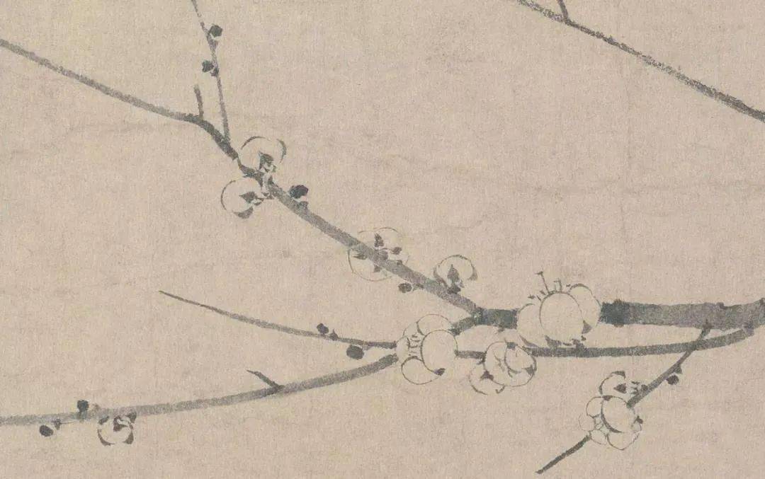 艺赏扬无咎笔下的墨梅图极尽朴素的美