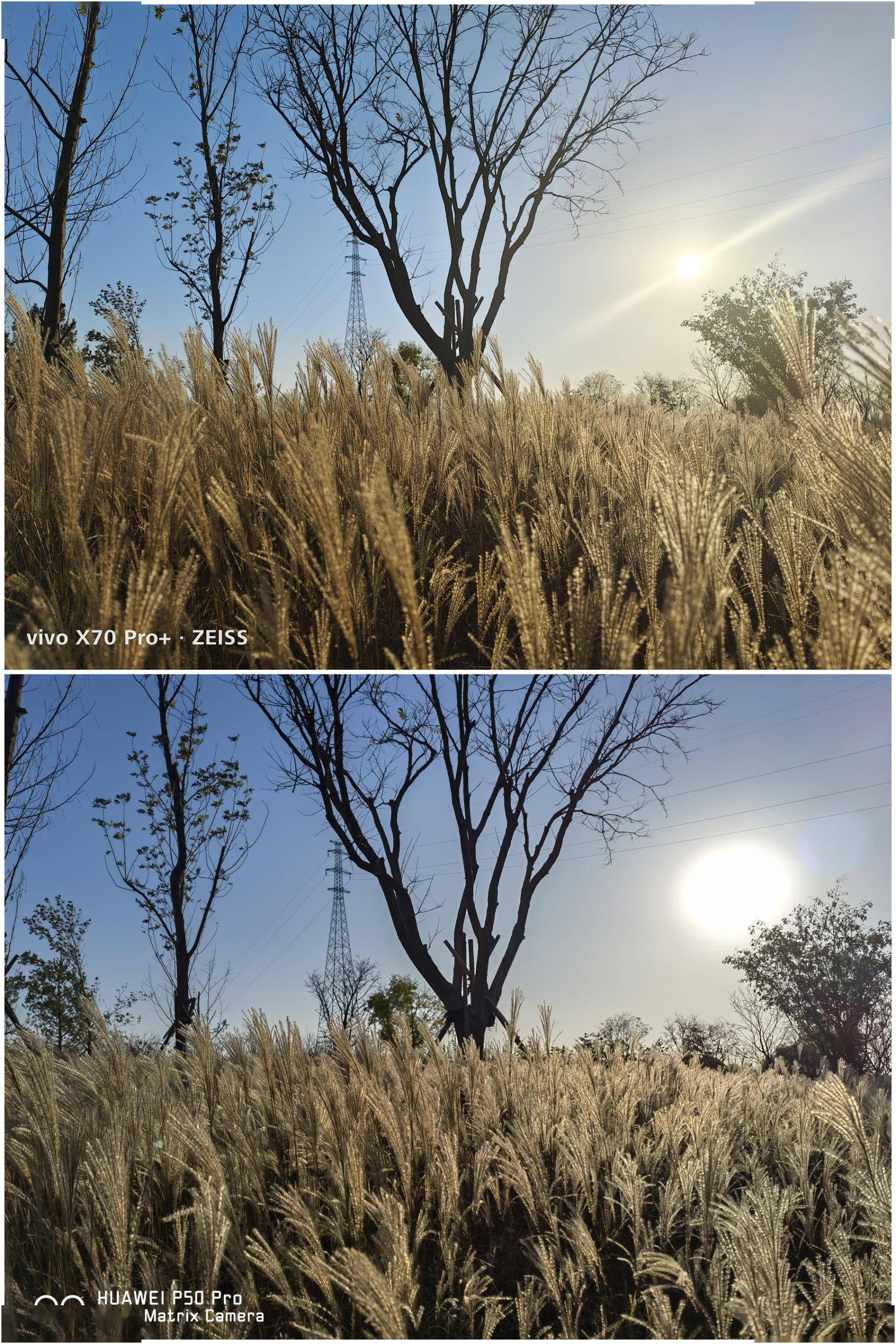 属于强者的巅峰对决，华为P50 Pro与vivo X70 Pro+用实力说话