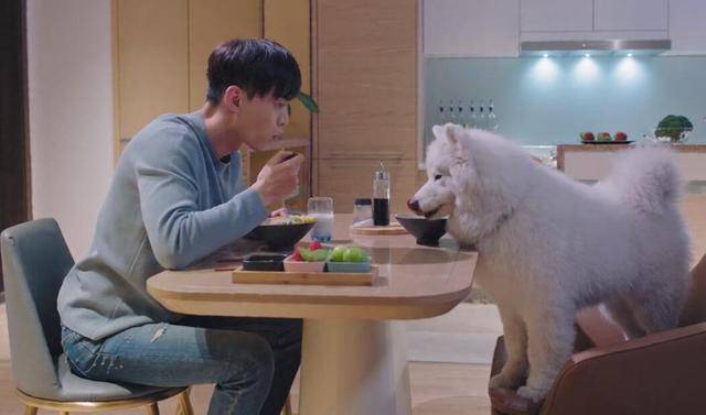 三天收视破亿,"帅哥收割机"邢菲终于能扛剧了_温少卿_丛容_唐晓天