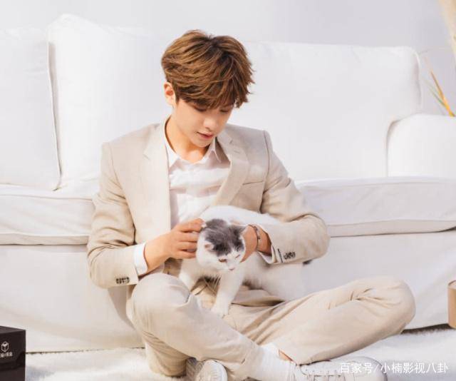 有一种宠叫黄明昊与猫,看到的他"吸猫照",网友:我酸了_猫咪_画面_不