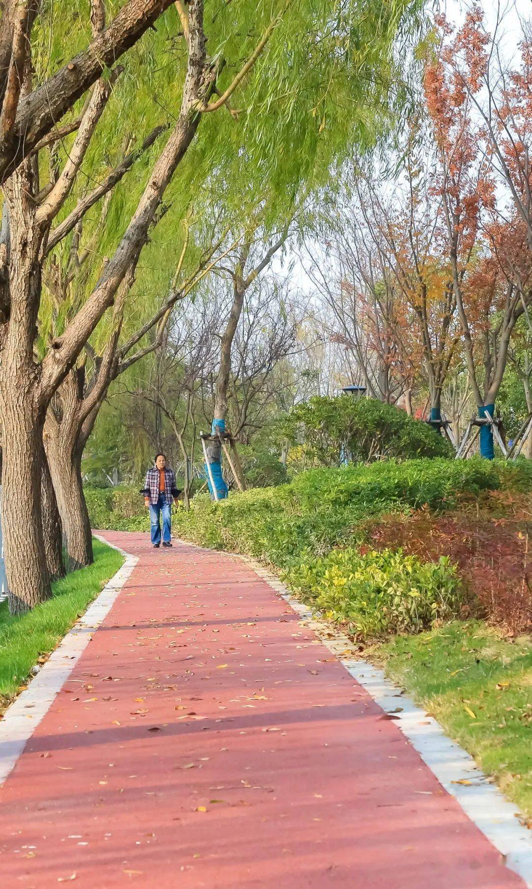 总面积超10000㎡松江这个全新的滨河体育公园即将竣工