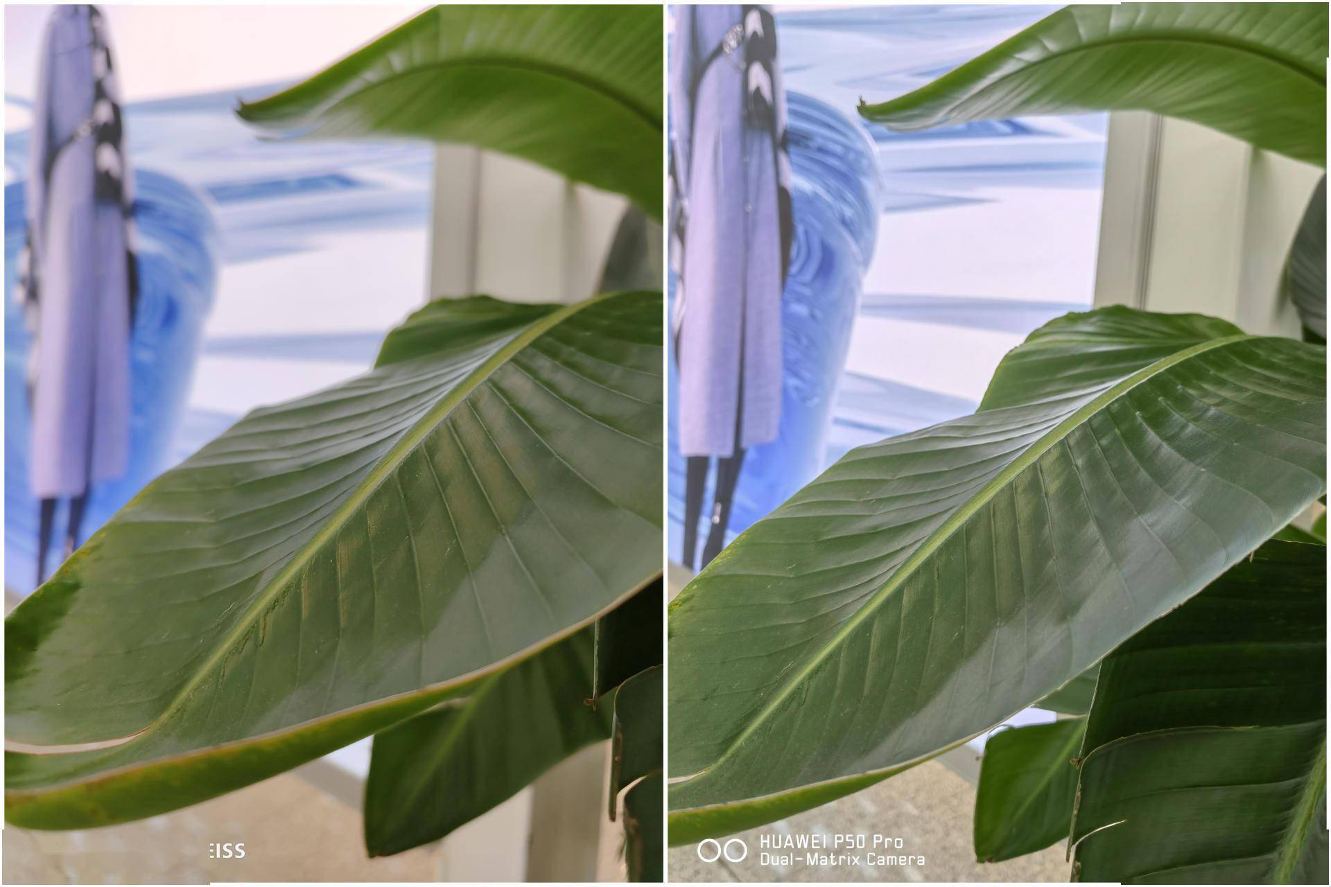 属于强者的巅峰对决，华为P50 Pro与vivo X70 Pro+用实力说话