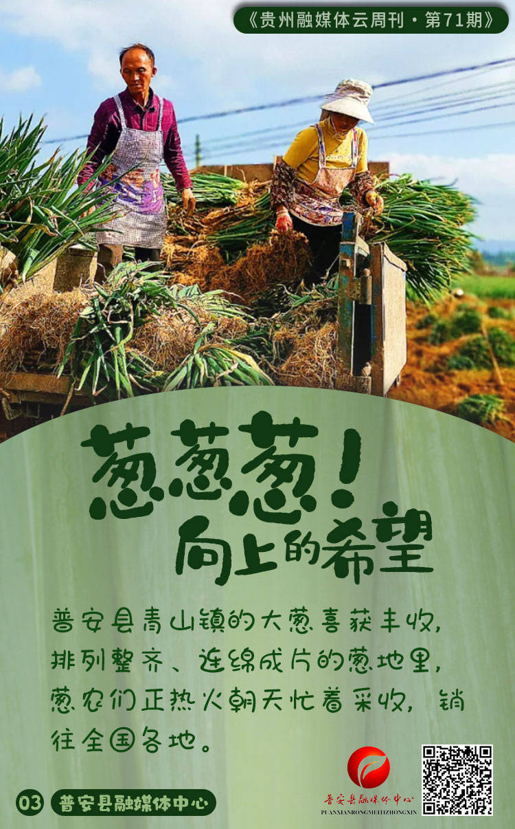 闵捷云周刊第71期｜黑的白的红的黄的紫的绿的蓝的灰的全在这里