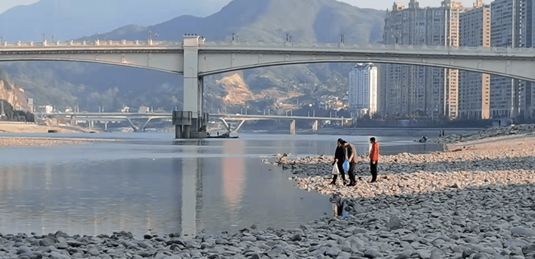 他们在太鹤湖边干啥?太危险了!_青田县_水位_市民