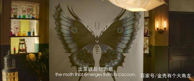 重温刘亦菲的夜孔雀终于将魔幻剧情看明白文艺片需要三观吗