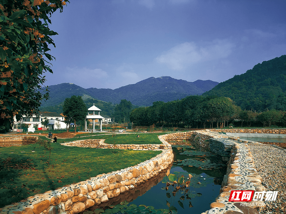 望城区桥驿镇杨桥村开展红绿蓝三色守卫战为美丽乡村建设添点彩