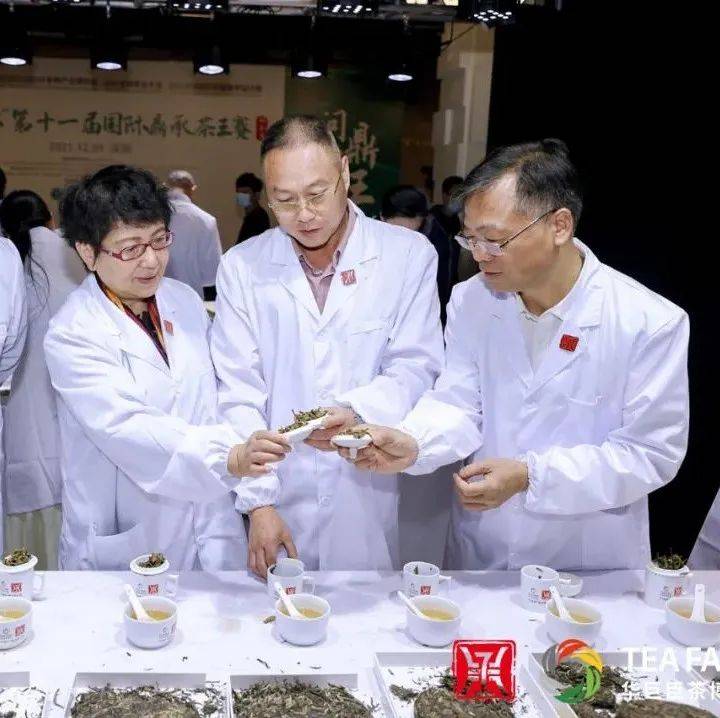 “茶王”诞生!新兴象窝红茶上榜_赛事_行业_专业性