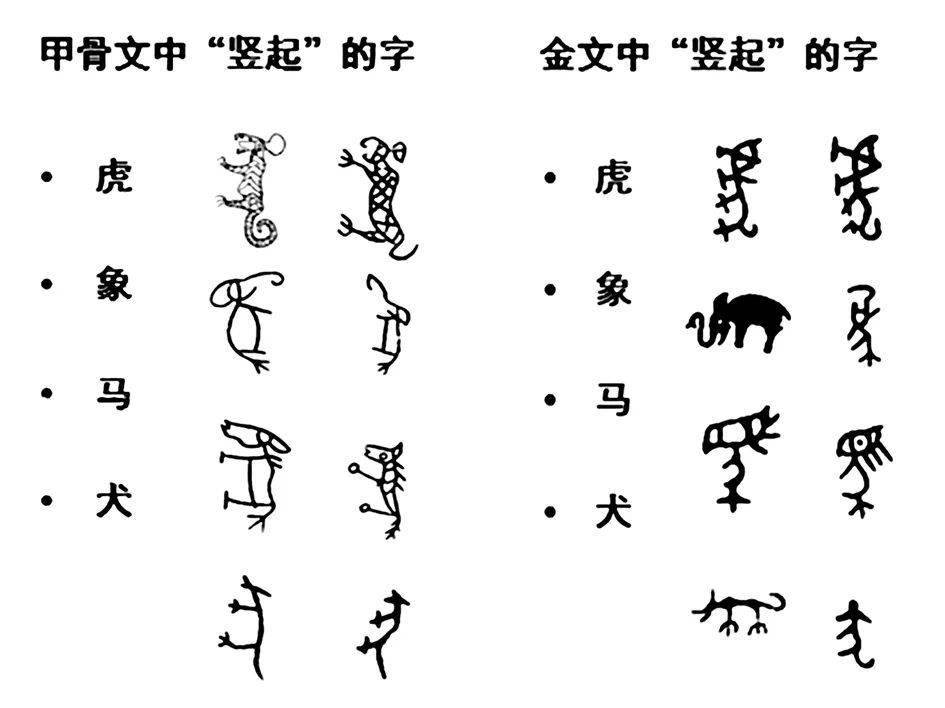 简单的动物汉字图片