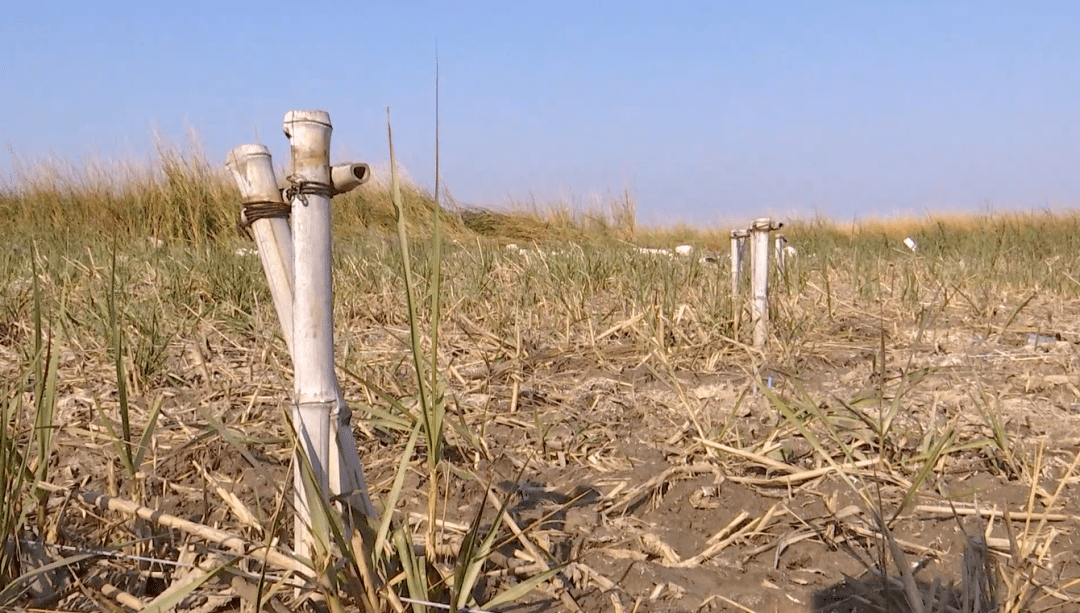 "通过无人机拉网式排查,已经捣毁非法捕猎窝点,收缴非法猎捕工具100多