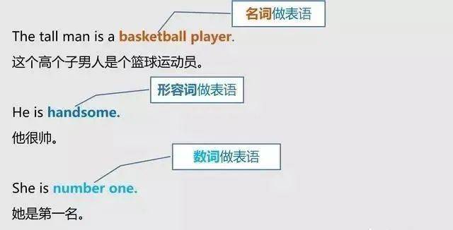 主语|一文搞定英语中的主语、谓语、宾语、定语、状语、补语和表语（初中生务必收藏）