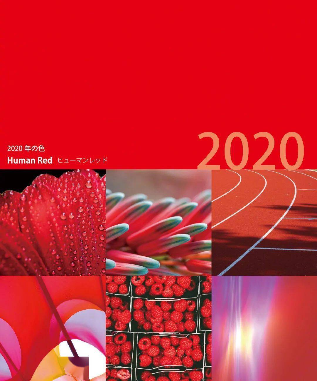 2020 年度色彩本为「红色」,由于疫情的原因,最终人们票选出的2021