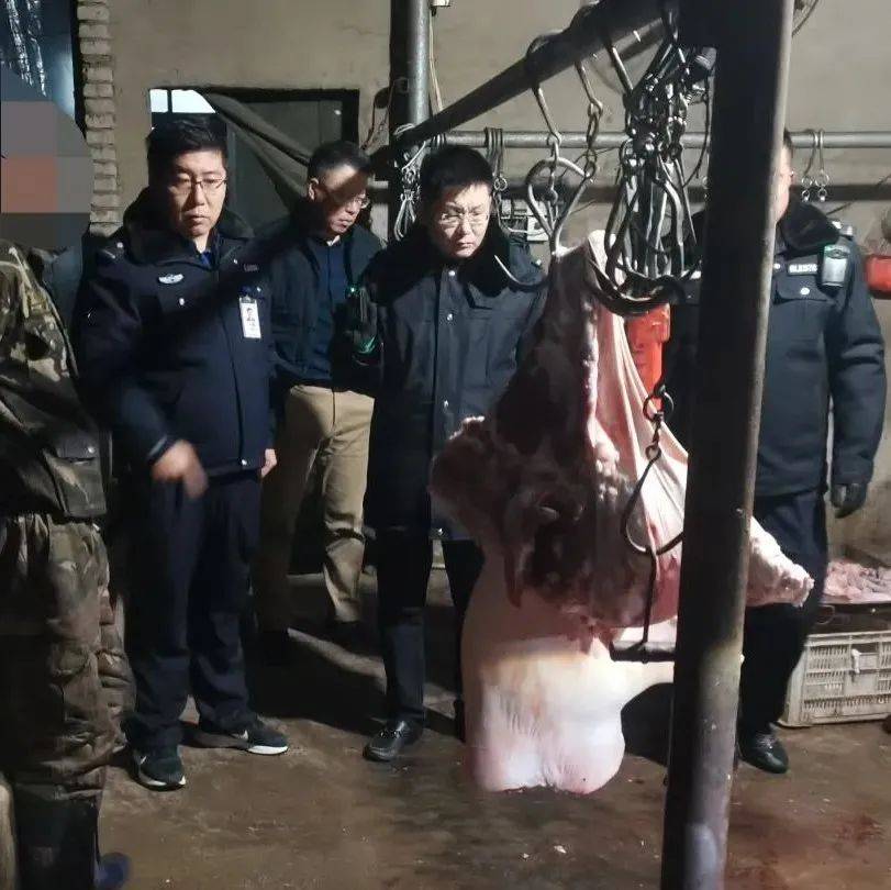 市综合行政执法局严查私屠滥宰:让市民吃上放心肉_生猪_违法_群众