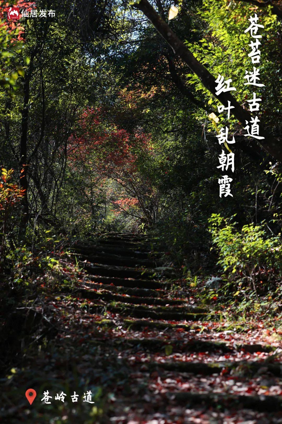 仙居最美古道"苍岭古道",目之所至皆为浪漫_横溪镇_枫叶_自然村