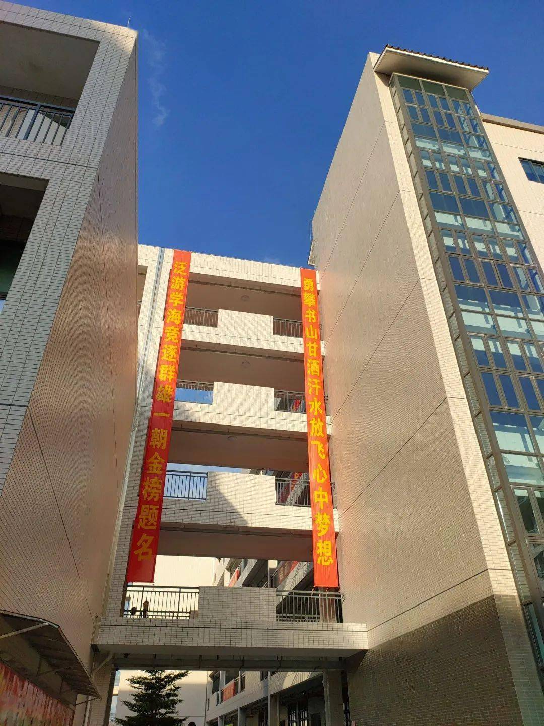 校园日常83崇雅实验改名征名穿裙子小哥哥夺冠大一中回忆珍惜惠中每