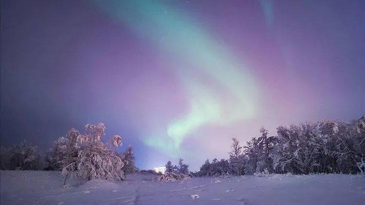 自然环境Pantone发布了2022年度流行色——长春花蓝