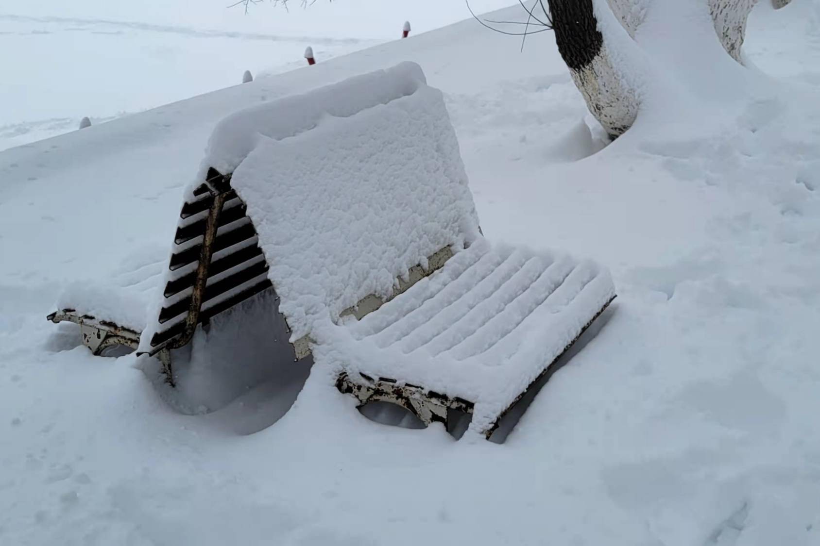 瑞雪|【雪落象牙塔】黑龙江工业学院：瑞雪已至 冬意正浓