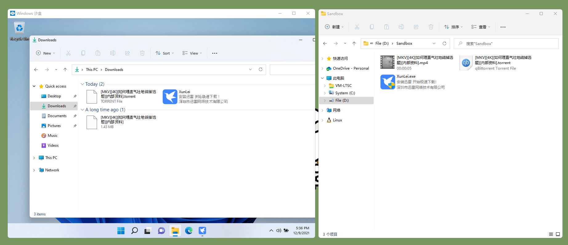 实例|一日一技 | 让 Windows 沙盒更好用：wsb 文件配置实例