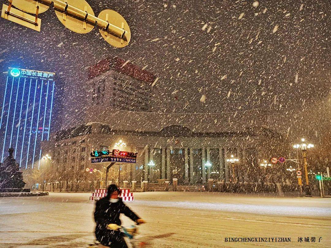 昨晚的鹅毛大雪有多美?风雪中的哈尔滨红军街和中山路