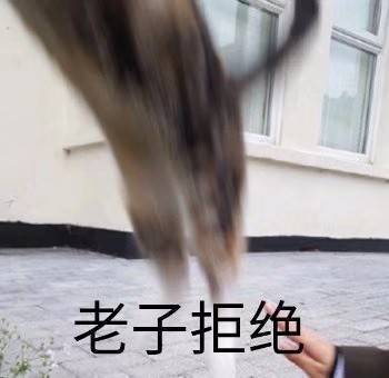 301e4b780d5a40e2a6295139743e9fbf.jpeg