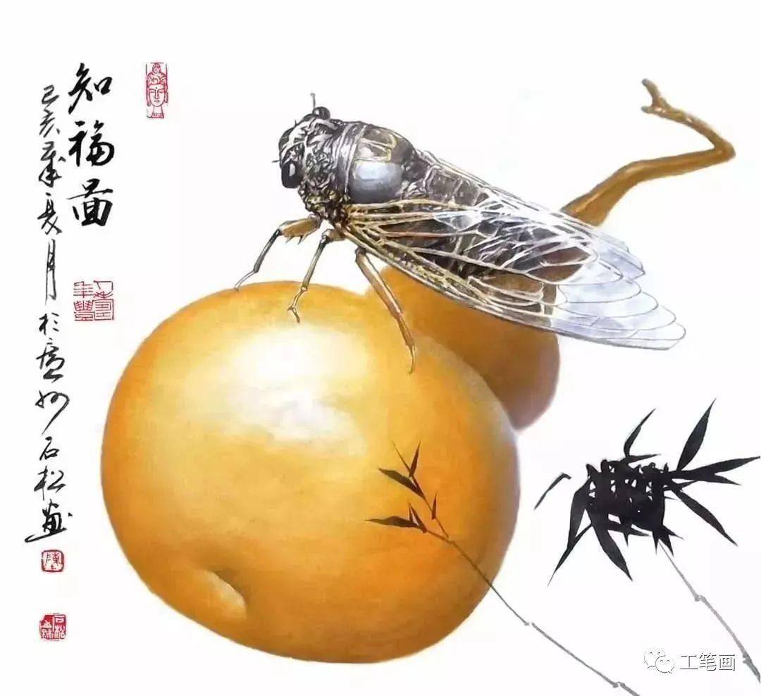 画个"知了"也这么有创意!高人!_因果_蝉悟_石松