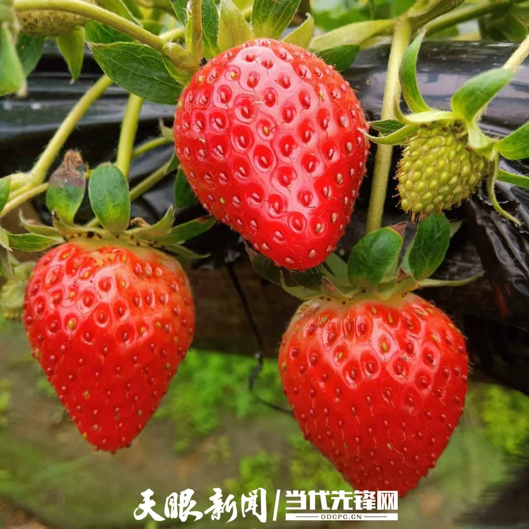 6ab51844aa294d72a5673e98fcc31df6.jpeg