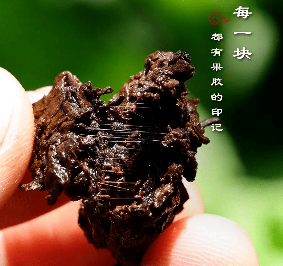 金奖|40年匠心做茶，她斩获茶博会金奖，网友：终于找回那熟悉的味道···