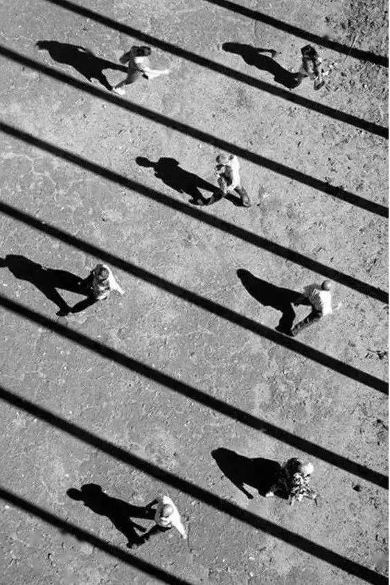 因为|“不要因为我拍过三级片,而否认我是一个出色的摄影师”