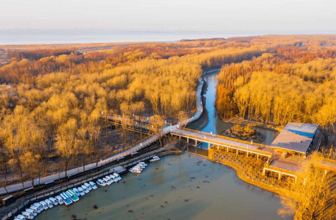 明珠湖特惠直通车天天开班_旅游_崇明_湖景区