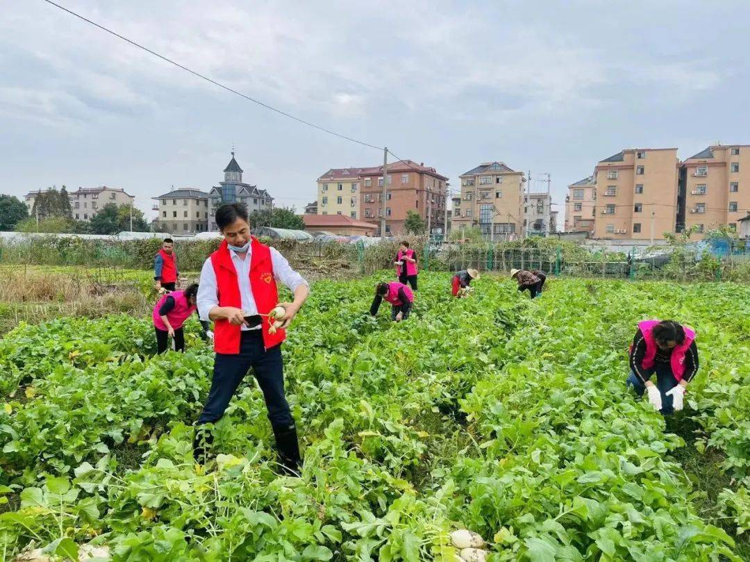 以"新"促新—翁埠村"四共四筹"铸就新居民"共富同行路"_许村镇