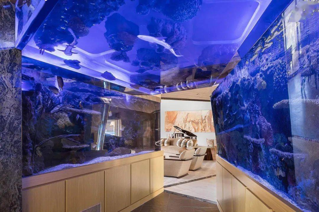 价值3亿的度假别墅用水族馆当鱼缸太酷了