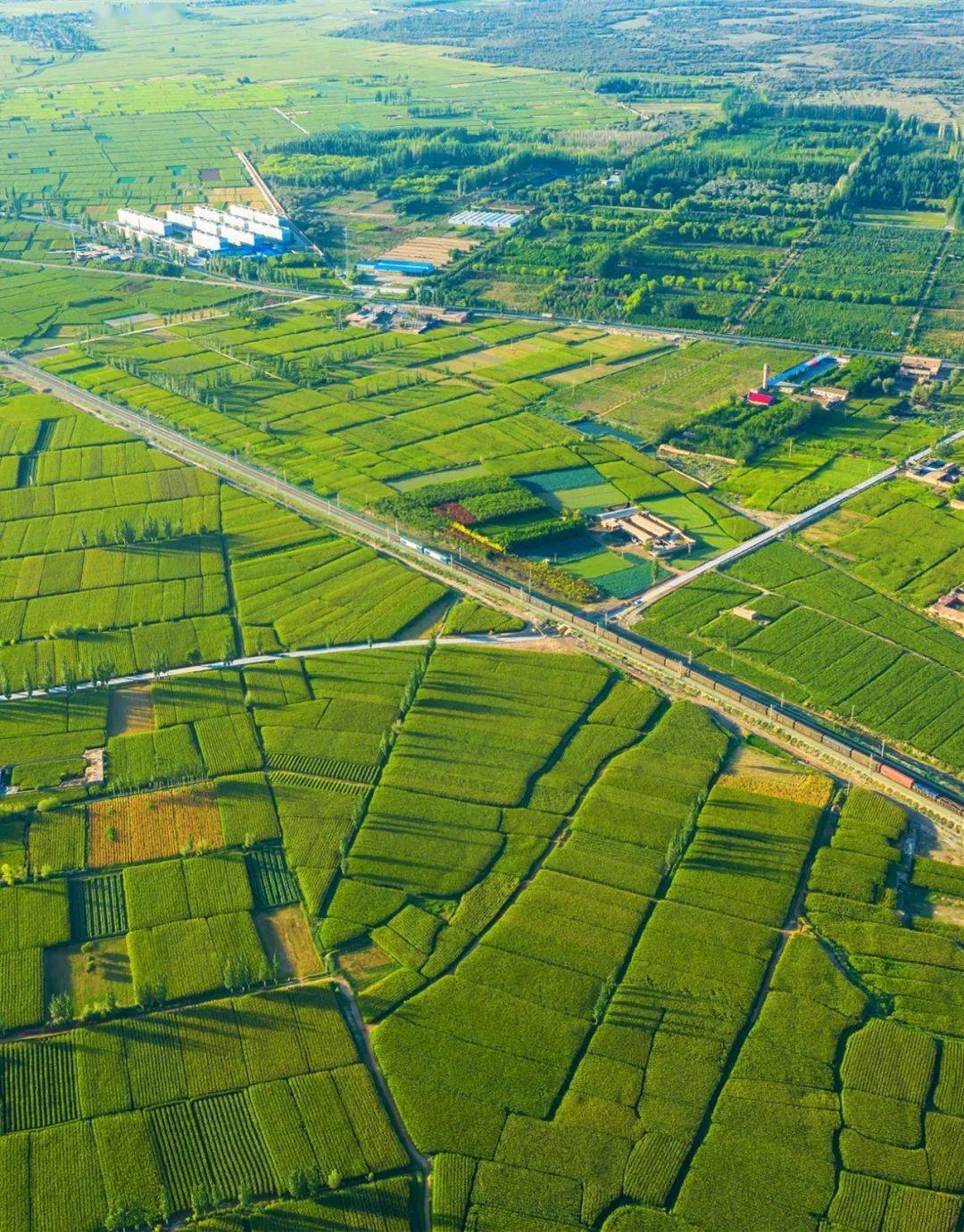 河西走廊如何成为击败旱魔的斗士