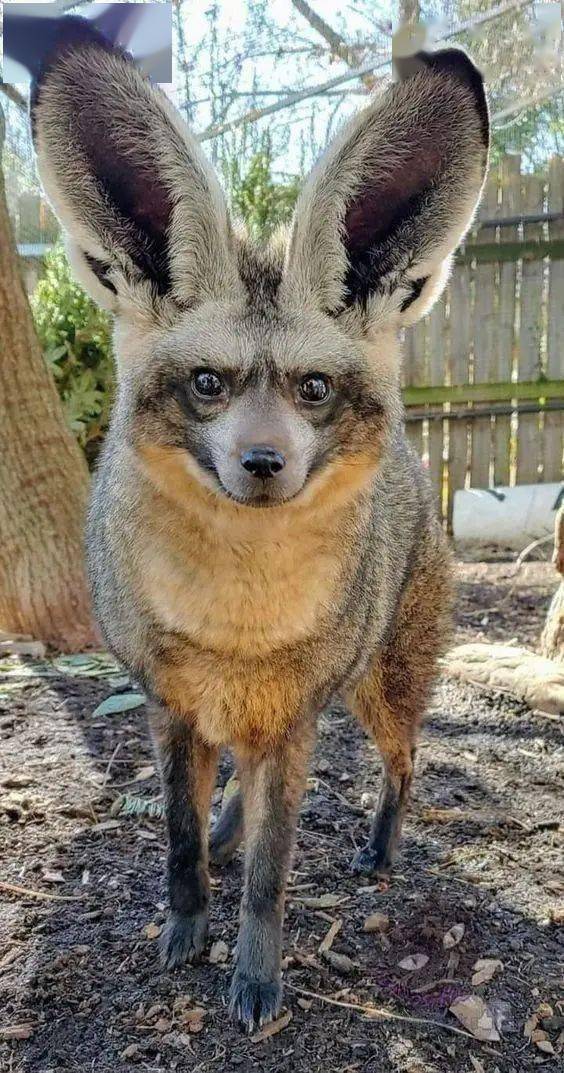 是心碎的声音_姜戈_照片_角色