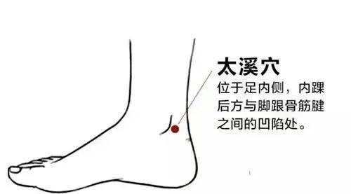 足底按摩生殖腺痛图片