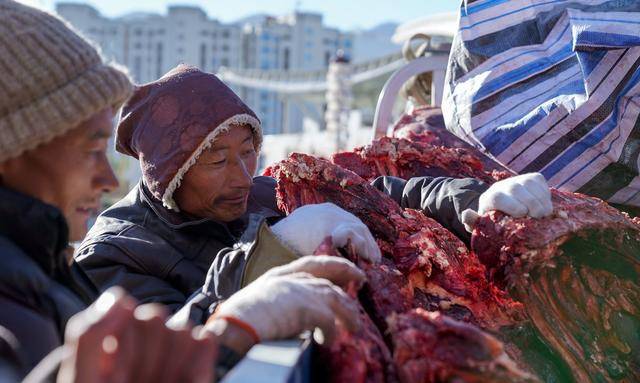 西藏:又到牧民丰收时_牛羊肉_拉萨_新华社
