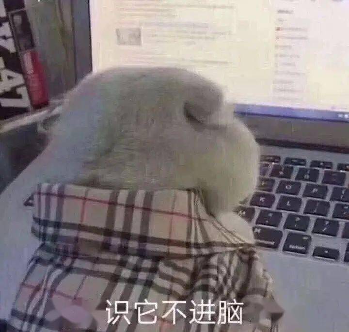 655d654f2b9140cbaa6d5dd10a357dca.jpeg