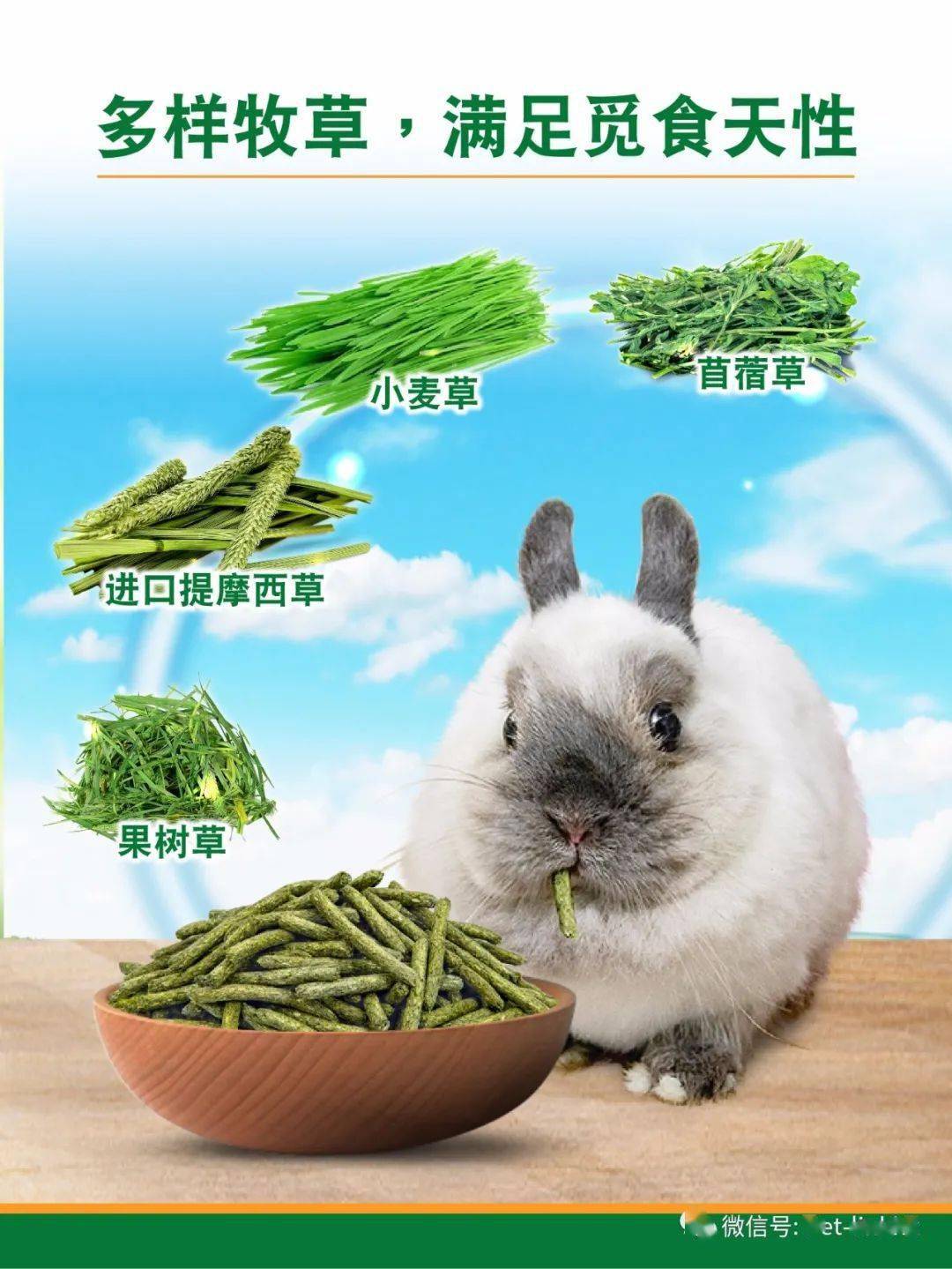 为什么兔子总喜欢到处乱咬?_牧草_牙齿_主人