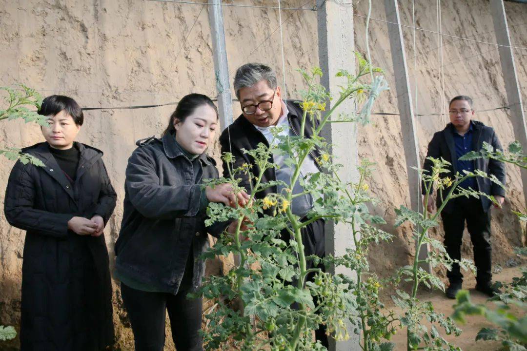 张庚博一行到尧都区调研特优农业发展工作