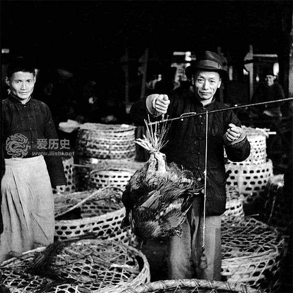 旧社会贫穷人家大闸蟹随便吃 真相是饭都快吃不上了_上海_法特_瓦尔特