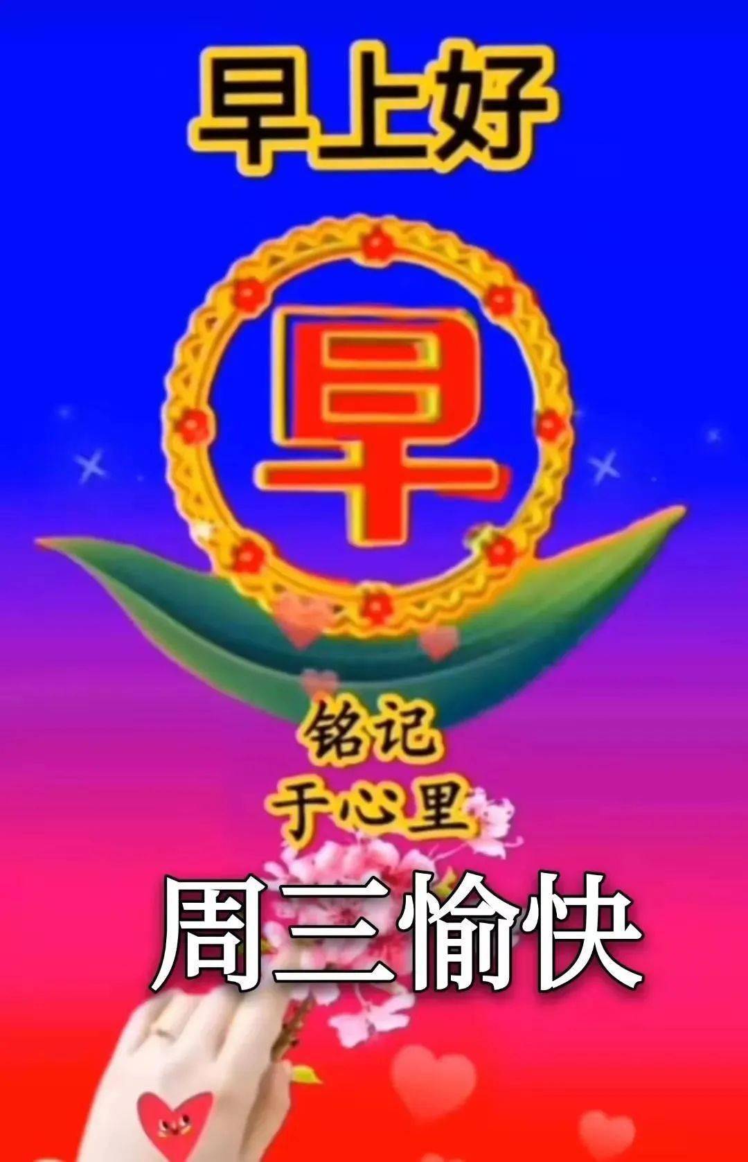 唯美的早安祝福語圖片帶字漂亮好看的鮮花早上好問候語表情圖片